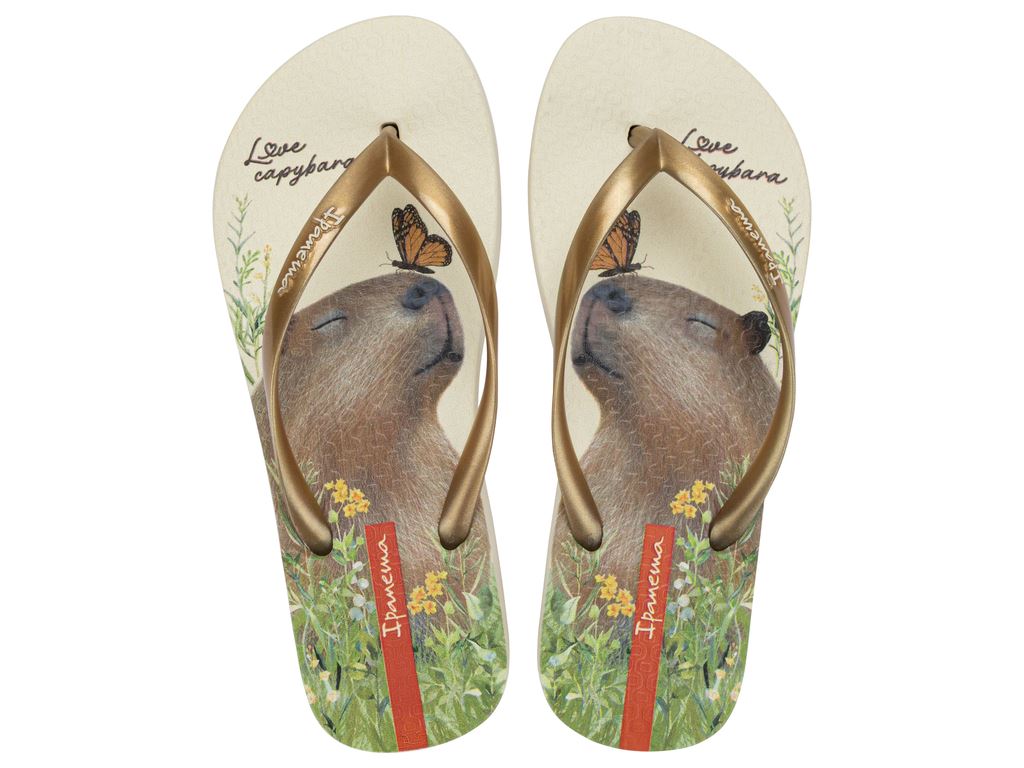 chinelo-dedo-ipanema-my-pets-bege-ouro-par-00