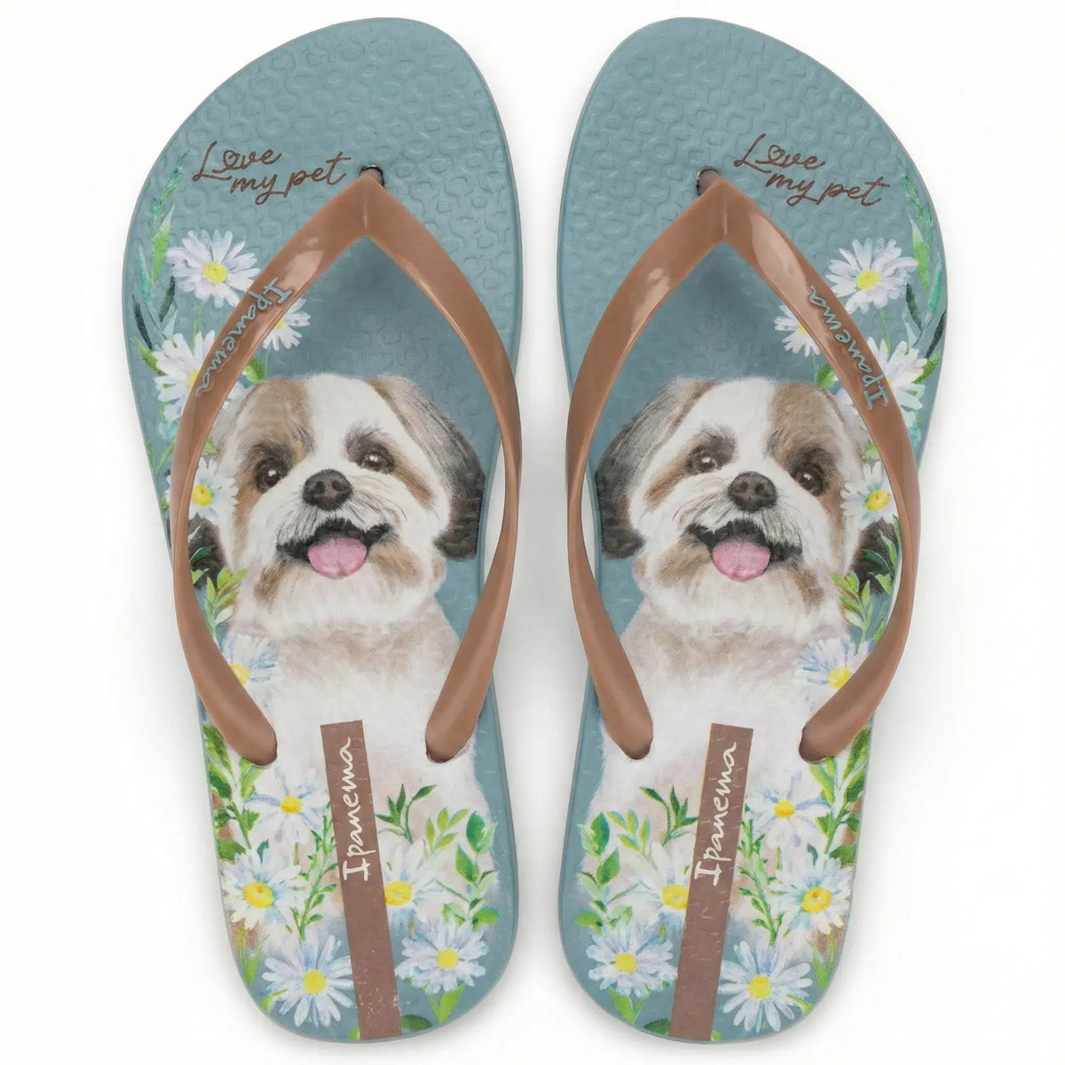 chinelo-ipanema-adulto-my-pets-azul-marrom-01