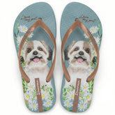 chinelo-ipanema-adulto-my-pets-azul-marrom-01