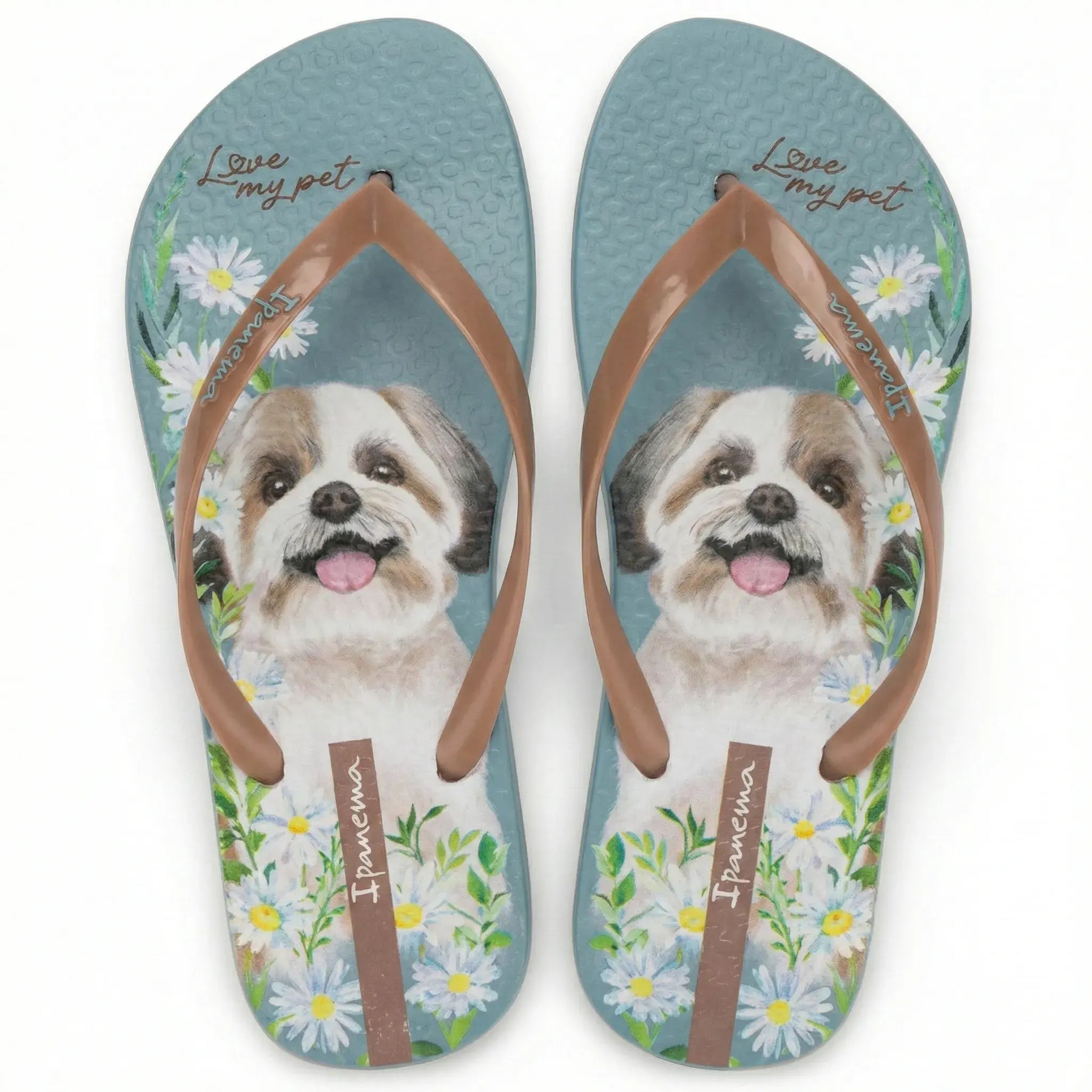 chinelo-ipanema-adulto-my-pets-azul-marrom-01
